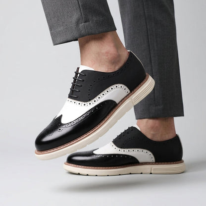 Winston | Wingtip Brogue Trainers